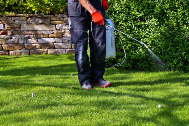 Emergency Pest Control in Franklinville, NJ